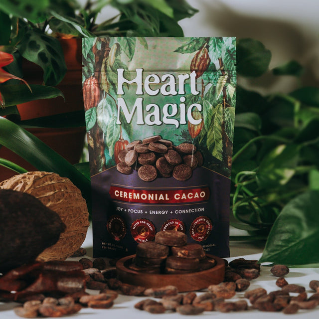 Heart Magic pure ceremonial cacao discs, heirloom white bean from Piura, Peru