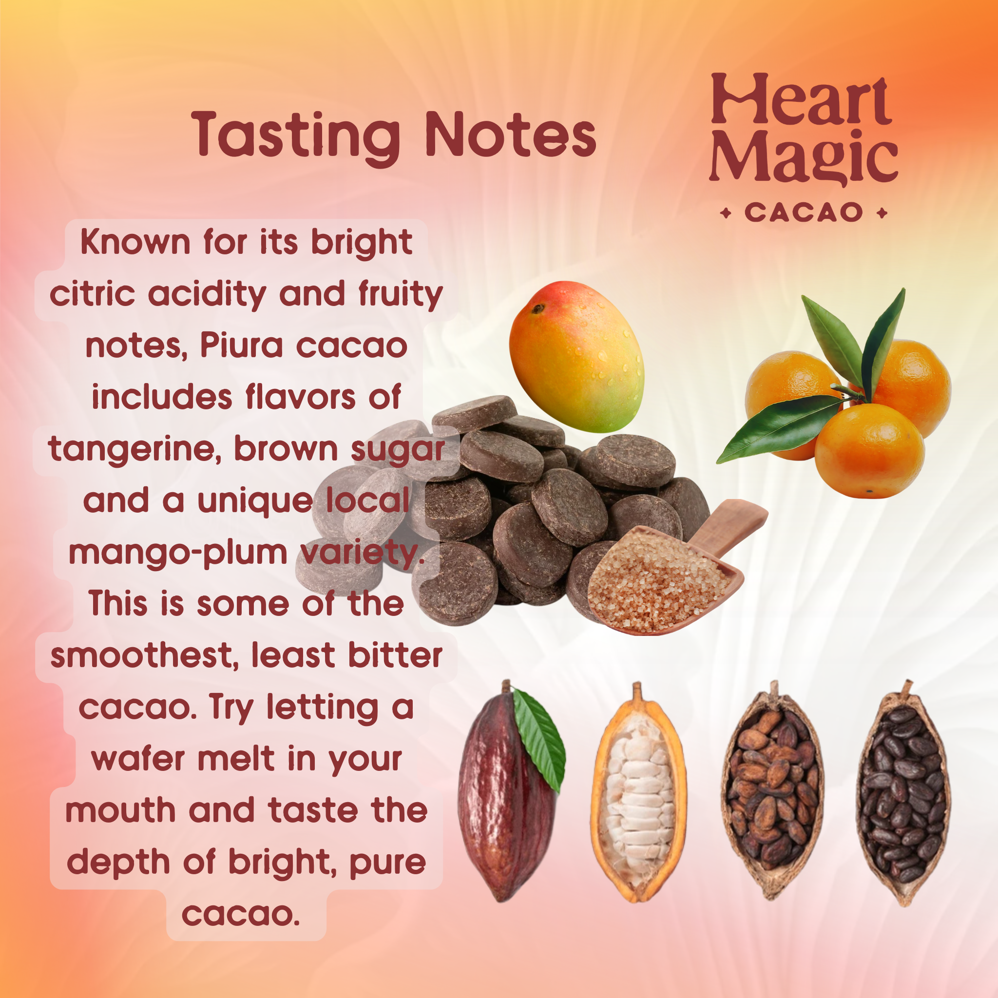 Cacao Discs