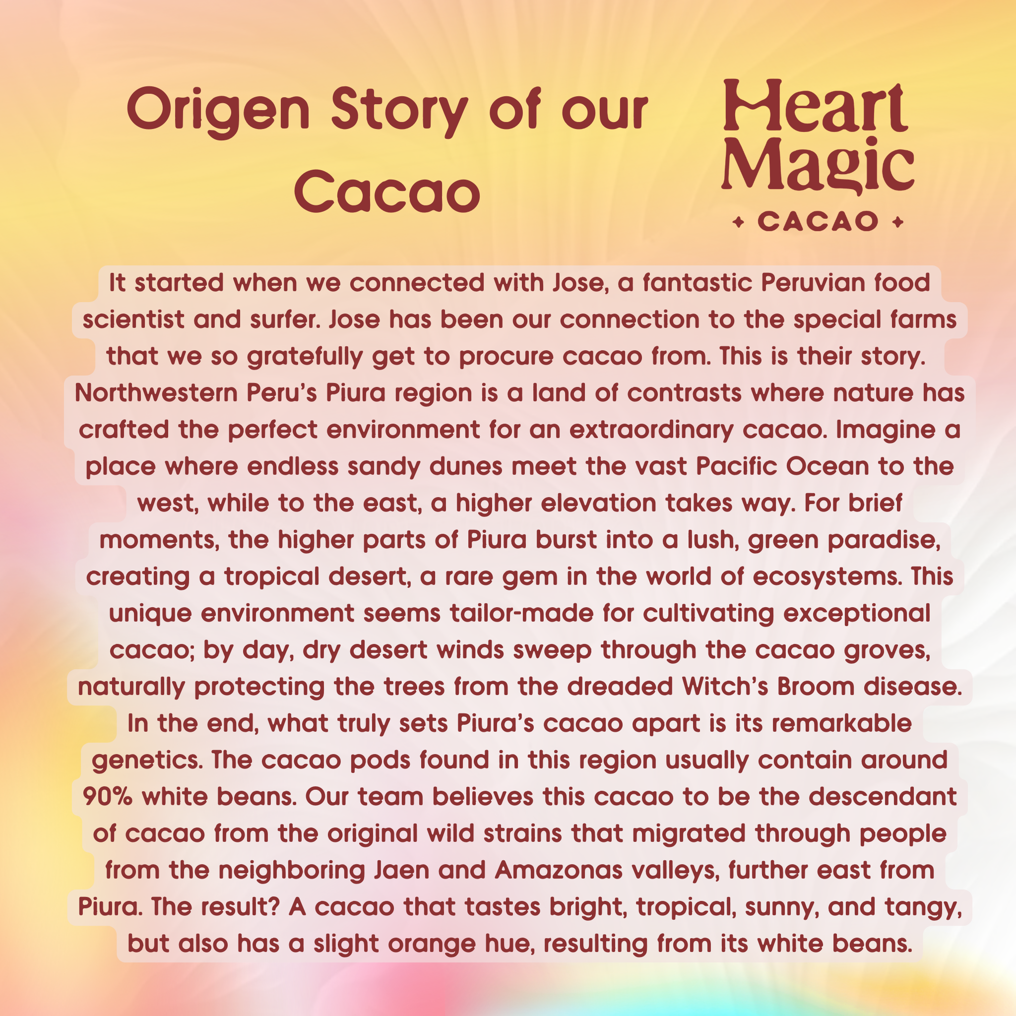 Cacao Discs