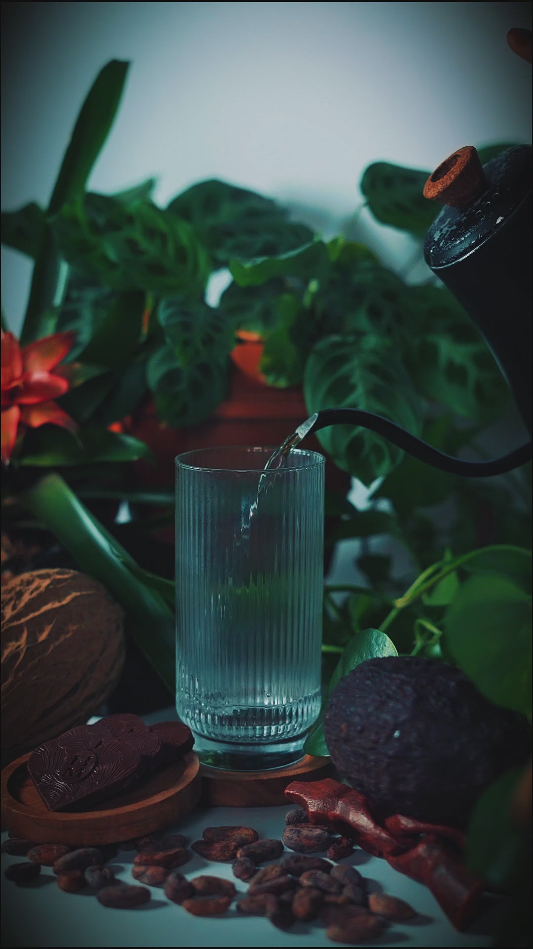 AD - slowmo julia shoot with written text.mp4